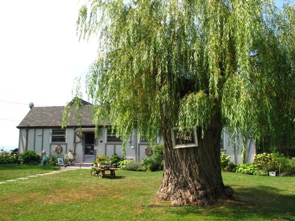 Omstead'S On Erie B&B Wheatley Dış mekan fotoğraf